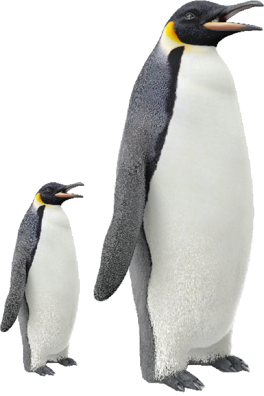 Two emperor penguins as a 3D model